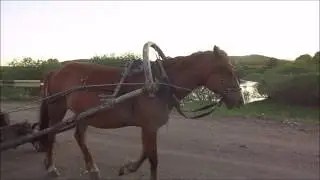 МАЙСКИЕ ЭТЮДЫ 2
