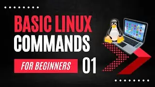 Linux Commands for Beginners | 8 Basic Linux Commands | Linux Commands Cheat Sheet 