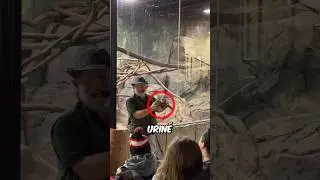 A Ferret Lets Loose at the Zoo 😂