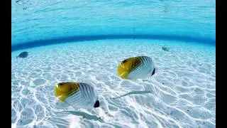Море - море
