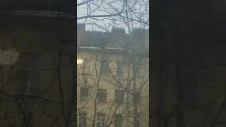 13 февраля 2022 г.