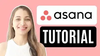 How to use Asana? | Project Management Software & Tool