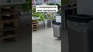 12 января 2024 г.