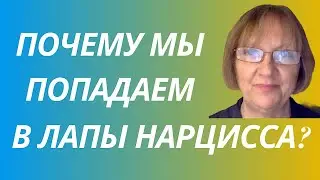 ПОЧЕМУ МЫ ПОПАДАЕМ В ЛАПЫ НАРЦИССА?