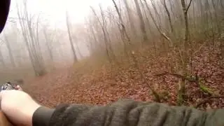 Case hunting   boar attack   Случай на охоте   нападение кабана 1