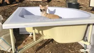 Мотивирующее видео для тех кто хочет собаку!