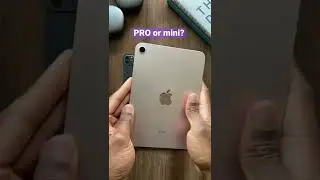 Would You Pick the iPad Mini?
