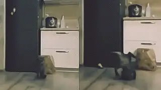 😂