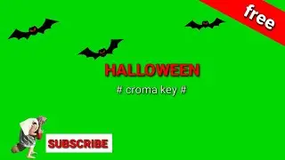 HALLOWEEN GREENSCREEN animation flying bats witch #greenscreen #chromakey #HALLOWEEN
