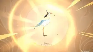 Genshin Impact 2.4 Wondrous Shadows Riddle Puzzle day 3