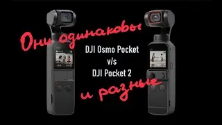 DJI Pocket 2 и DJI Osmo Pocket 1 "Одинаковые и разные"   4К