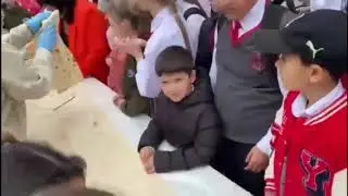 8В - Армяне