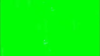 #17 | Bubbles - Green Screen | T G S A
