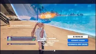 Fortnite gameplay ps4 win 8 kills