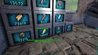 ase ark soloplay