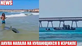 Shark drags diver into sea off Hadera coast in Israel