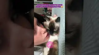 COME PASSA IL TEMPO ALICE PEREGO QUANDO SI ANNOIA 