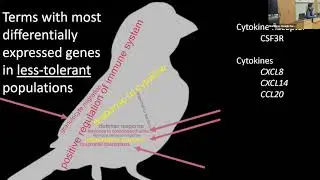 Evolutionary patterns, molecular mechanisms, and transmission consequences of tolerance