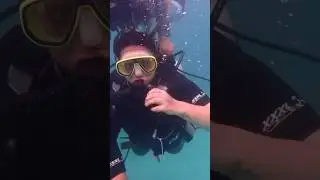 My first scuba diving experience #scubadiving #scubadivingislife #phuket #thailand #nightlife #2024