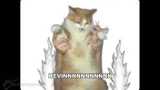 Kevin