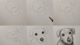 how to draw a dog step by step for beginners😍 | easy dog drawing tutorial