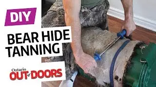 DIY bear hide tanning
