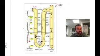 AQA Biology 2019 Paper 3 Runthrough