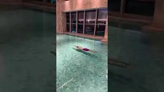 The Art of the Dive