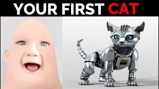 Mr Incredible Becoming Old (Your First Cat)