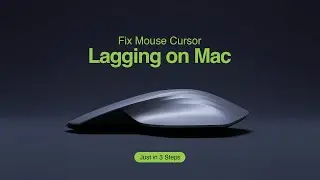 How to Fix Mouse Cursor Stuck or Lagging on Mac