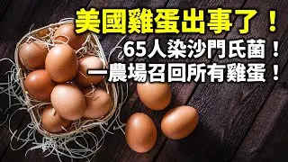 20240911H 美國雞蛋出事了！65人染沙門氏菌！ 一農場召回所有雞蛋！