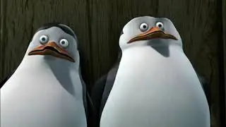 The opening of 