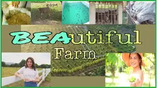 Bea Alonzo Farm~Beati Firma | worth watchin-inspiring😍|| BuzzNess Tv 🐝