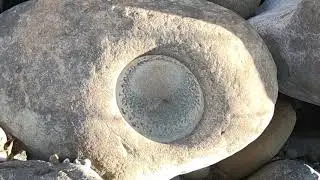 Rockhounding, Large OMAROLLUKS (Omar) Greywacke Stone 11 LBS +