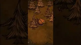 Should YOU play Woodie? DST OP 