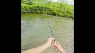 Trout fly-fishing on Serbian river Gradac