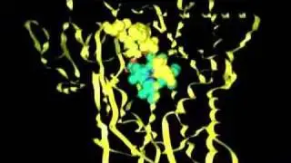 Inner Workings of Cytochrome P450 2C9
