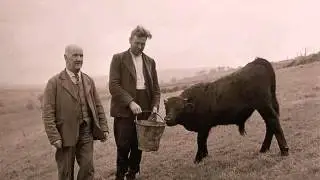 Cofiwch Dryweryn - Remember Tryweryn