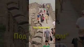 Предсказание Ванги для США