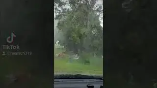#Опять#дождь
