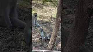 Enough playing