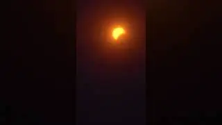 Solar Eclipse 2024 NYC 