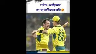 সাউথ আফ্রিকাকে কাঁদিয়ে ফাইনালে অজিরা | AUS VS SA | খেলাপোকা |