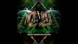 DICIEMBRE ES ESTO 🎄🎁  - @_SebastianRoldan Ft. Araxx
