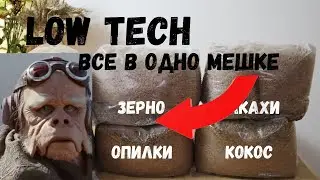 Выращивание Грибов в мешке без смешивания спауна и субстрата - легкий способ культивации
