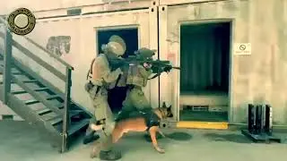 Amazing training at the Caliber 3 tactical zone with CQB and tunnels.