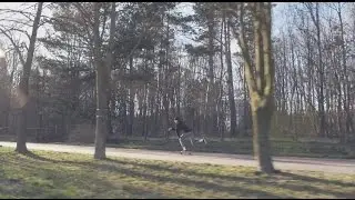 #skaterockinstatrick Daniel Dujsik