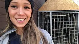 Thank you Earthschooling for Donating to Iowa Bird Rehabilitation & Rescue (Private Video)