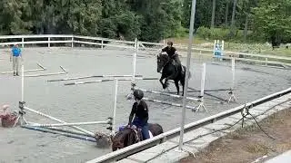 Riley, Premier, no reins, no stirrups