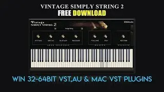 Vintage Simply String 2 RDGAudio New Update FREE VST AU Synthesizer Sample based Download FREE